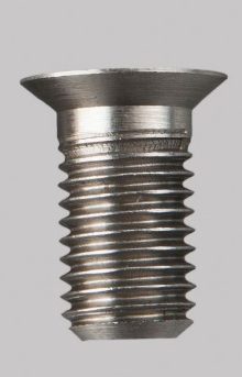 Standard Stainless Steel D-Lok Bolt 3/8 BSF thread