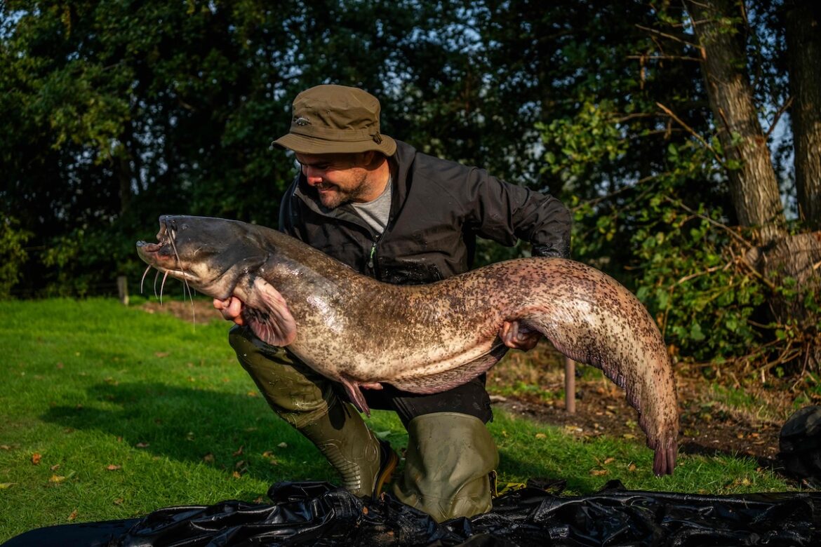 Jimmy’s Diary: Chasing Giant Catfish with Delkim V2s and SmartLites
